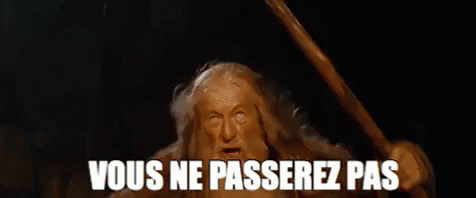 you shall not pass - scène iconique du seigneur des anneaux